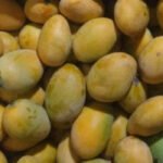 ⁦مانجو فص درجة أولى⁩ - الصورة ⁦2⁩