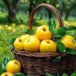تفاح إيطالي أبيض (أصفر فاتح) – منعش وخفيف - Image 2